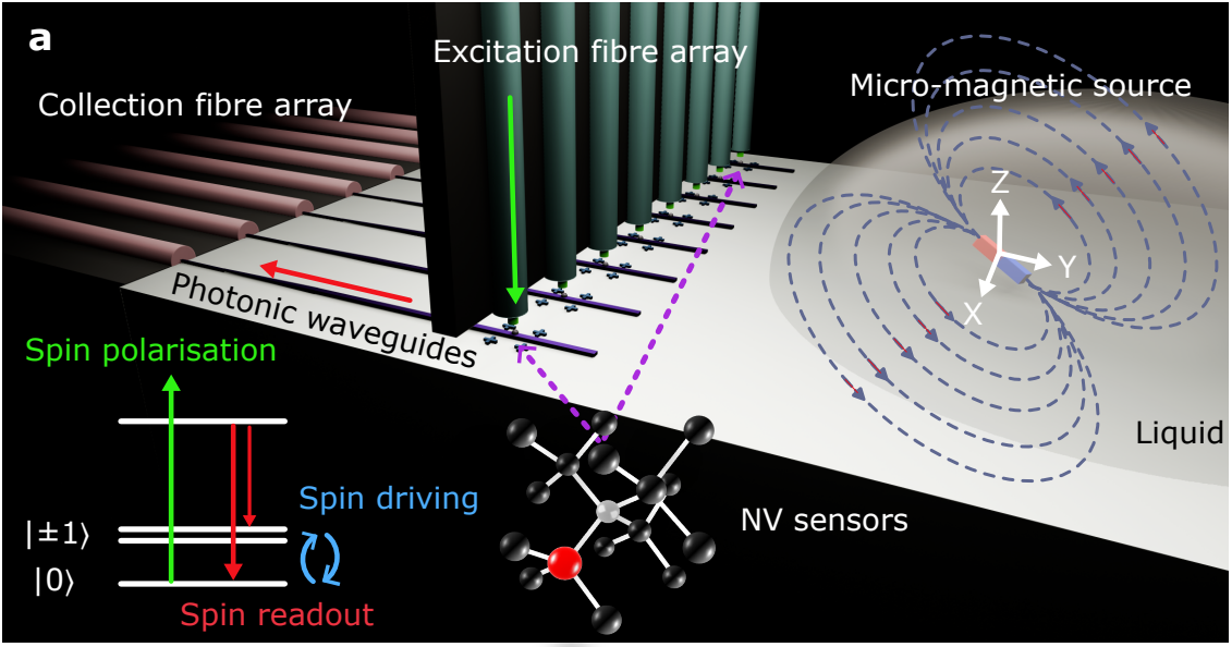 Alt text for the image